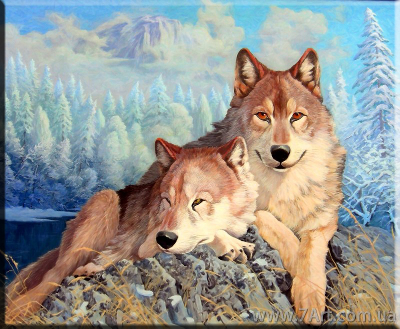 Картины Животных, Art. STUD1511392